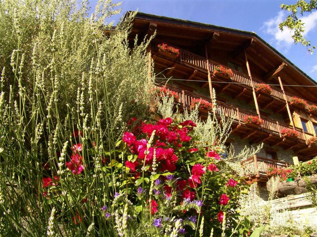 Maison De Frein Allein Exteriör bild